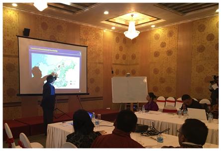 KEI-PEI Bhutan SEA (Strategic Environmental Assessment) Workshop 4