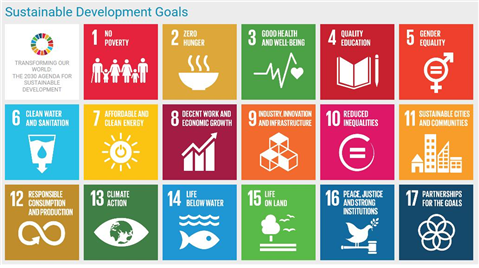 Adoption of the Sustainable Development Goals by the UN General Assembly
