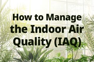 How to Manage the Indoor Air Quality (IAQ)