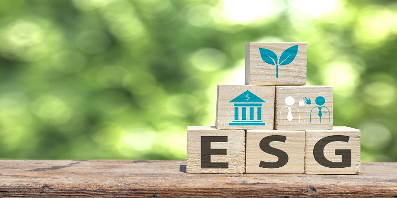 기업의 지속가능성보고 및 ESG 정보공개 확대와 공공부문의 역할