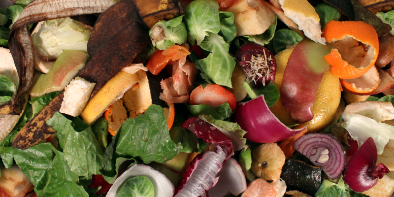 Food Waste Recycling : Topical Issues and the Use of Food Waste Disposal Units